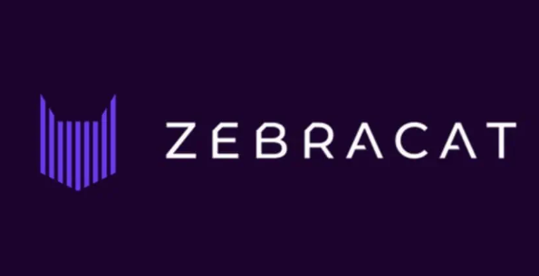 Zebracat logo